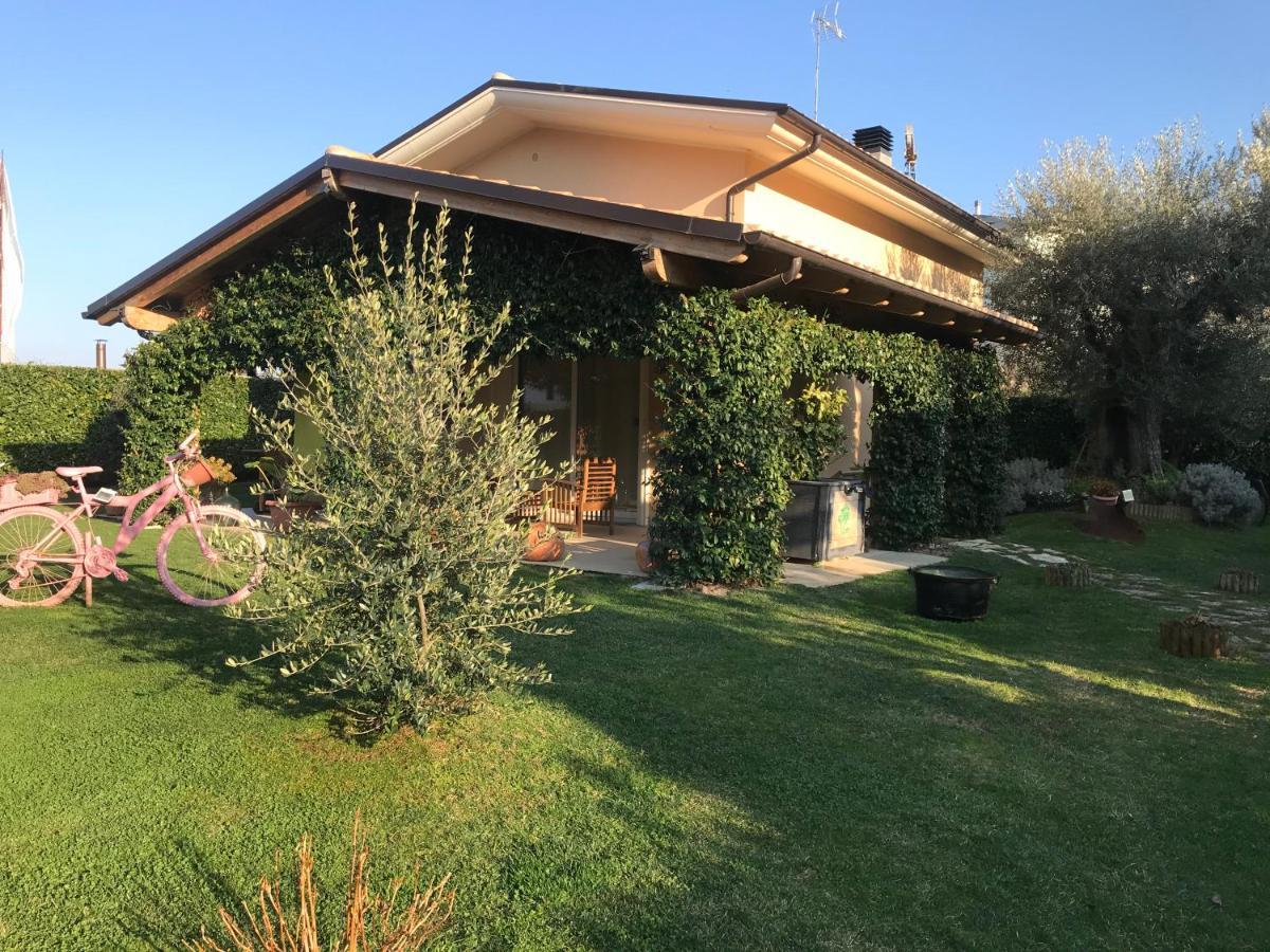 L' Ulivo Bed & Breakfast Teramo Eksteriør billede