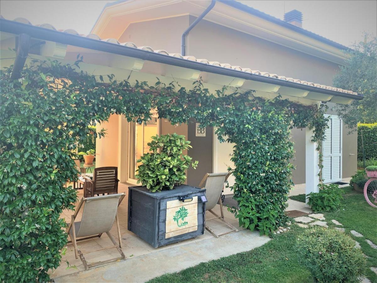 L' Ulivo Bed & Breakfast Teramo Eksteriør billede