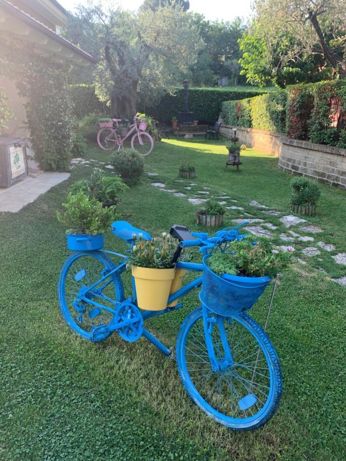 L' Ulivo Bed & Breakfast Teramo Eksteriør billede